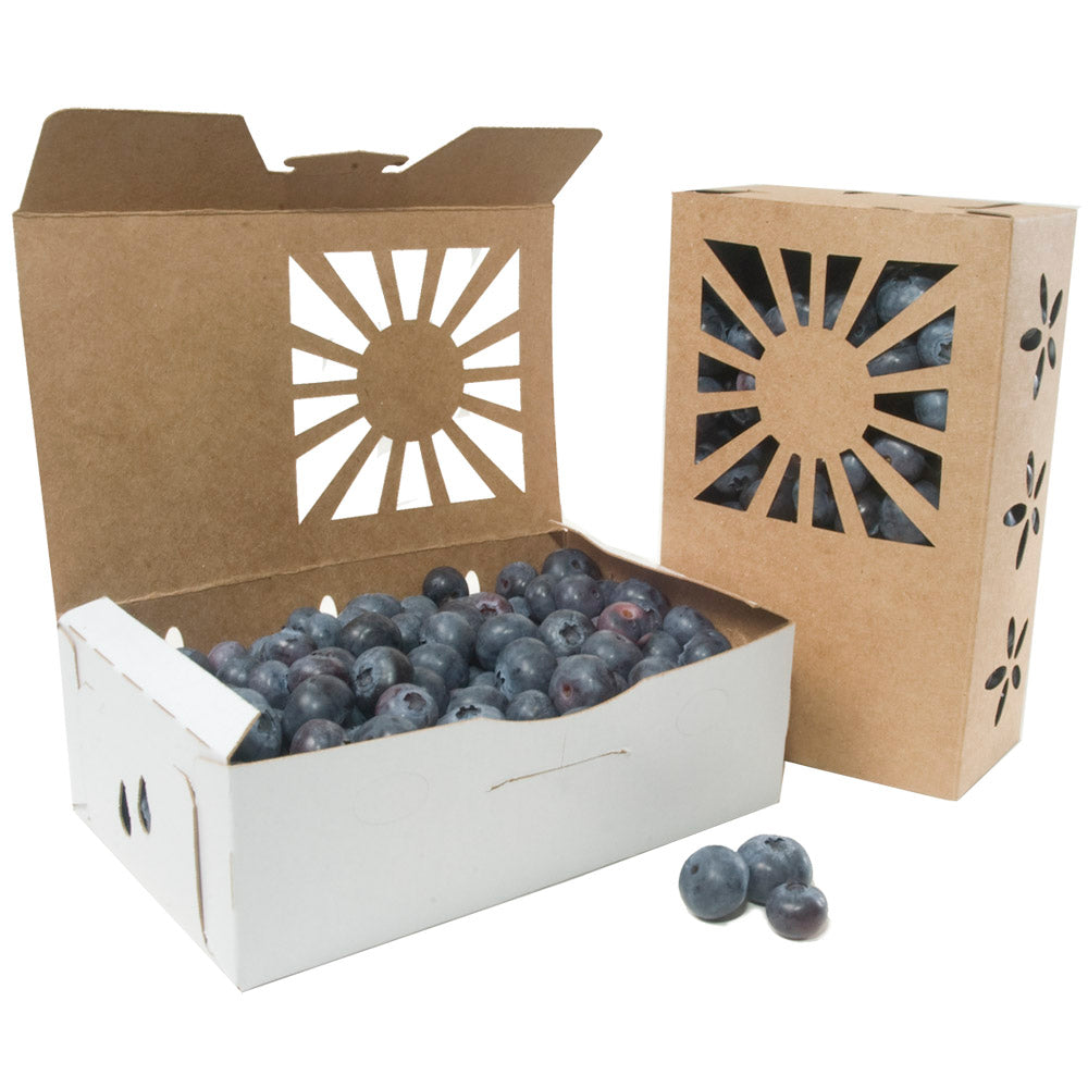 Pint Sustainable Produce Containers shown with blueberries