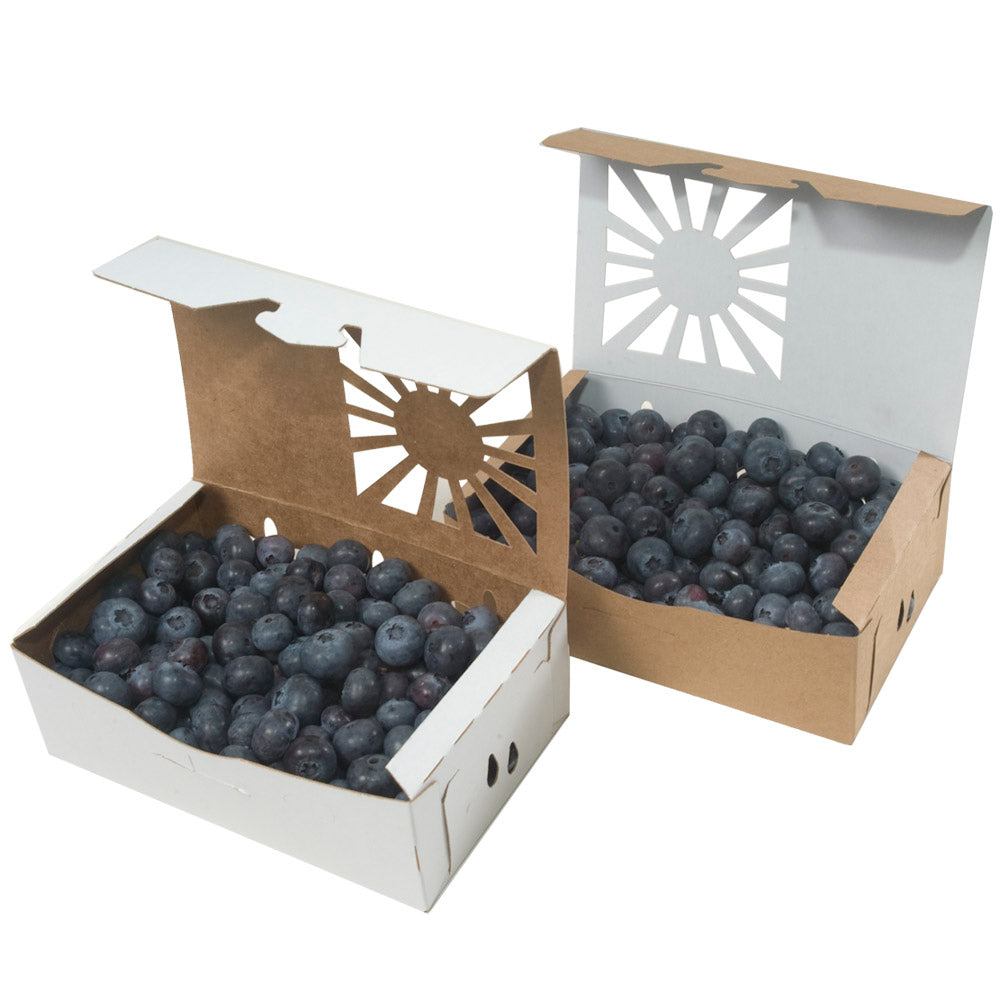 Pint Sustainable Produce Containers shown Kraft and Reversable options with blueberries