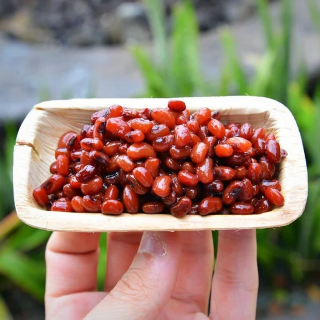 VerTerra Mini Palm Leaf Tray shown with Pomegranates