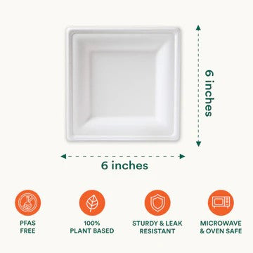 EcoSoul 6 inch pearl white bagasse compostable plate