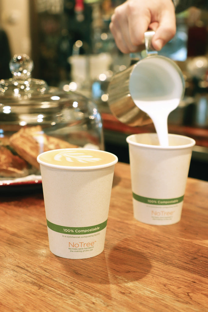 World Centric Compostable 12 oz NoTree Fiber Hot Cup shown in cafe