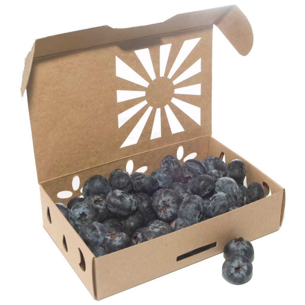 Pint Sustainable Produce Container Kraft shown with large size blueberries