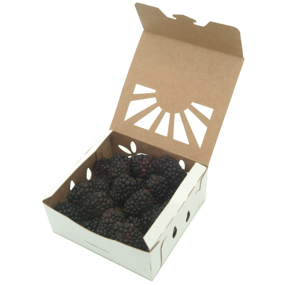 Half Pind Sustainable Product Container Blackberries