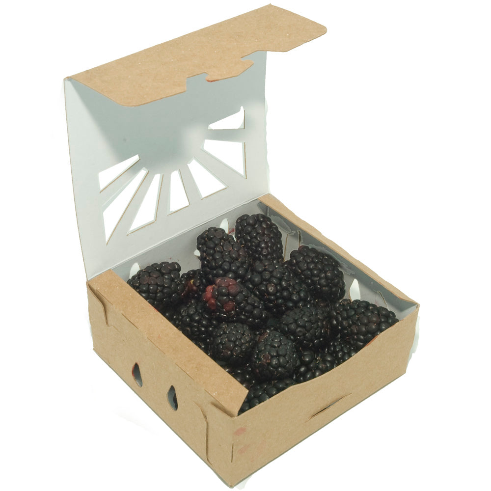 Half Pint Sustainable Produce Containers Blackberries 