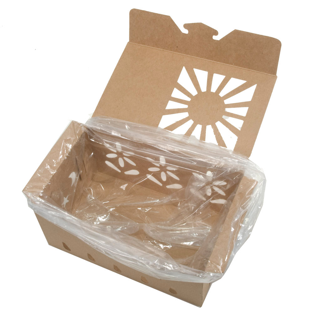 Quart Sustainable Produce Container Kraft shown with bag insert