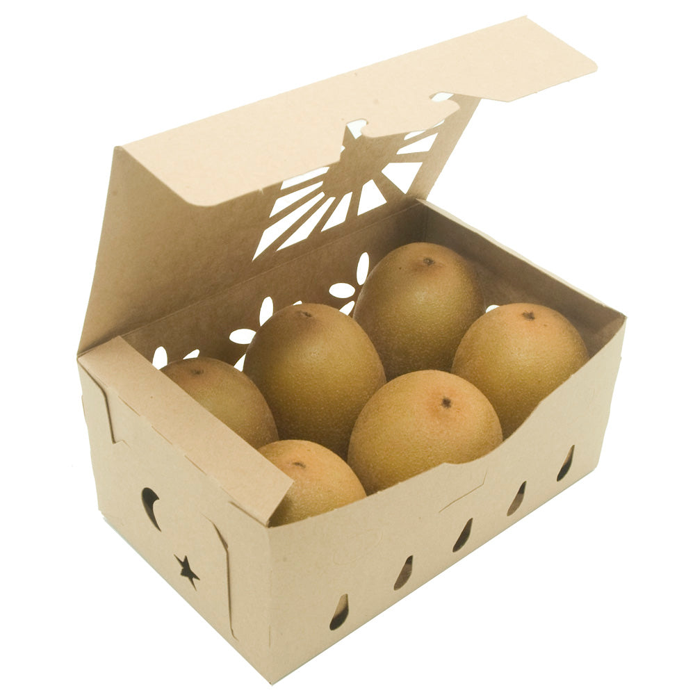 Quart Sustainable Produce Container Kraft shown with Kiwi