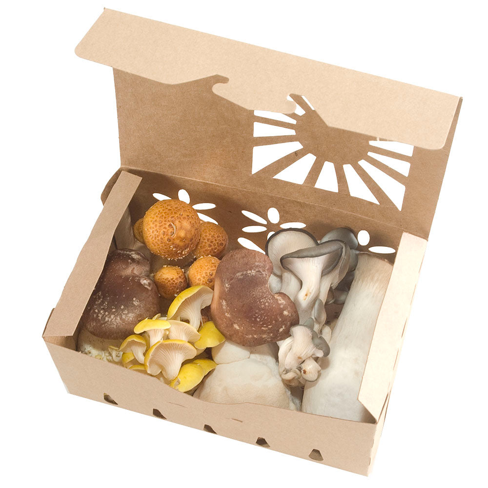 Quart Sustainable Produce Container Kraft shown with mushroom mix