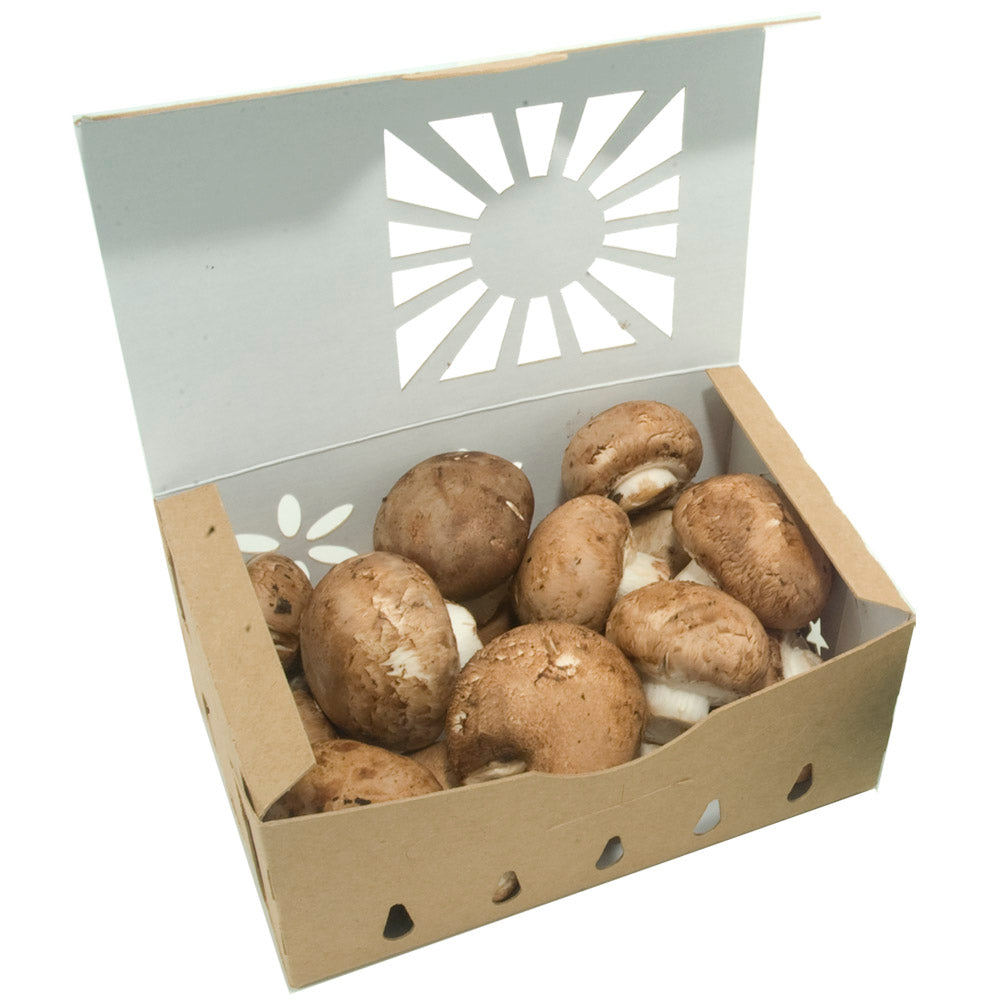 Quart Sustainable Produce Container Reversible shown with Mushrooms